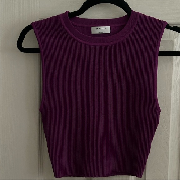 Babaton Ribbed Crop Tee - Picture 4 of 6